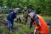 Komendant raciborskiej policji sadzi drzewa wspólnie z komendantami służb mundurowych