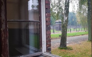 Widok z okna na podwórko w Auschwitz