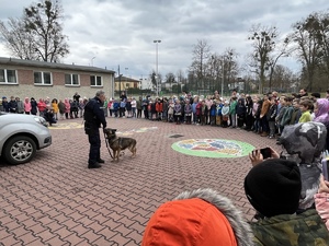 Przewodnik psa słuzbowego z komendy w Rybniku podczas pogadanki z uczniami w Rudach