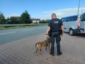 strażnik więzienny tyłem z psem