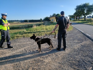 policjant z ruchu drogowego i strażnik więzienny z psem