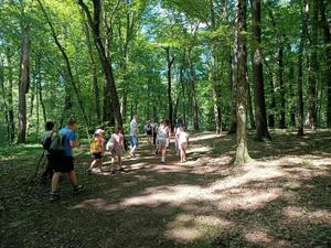 na zdjęciu dzieci zwiedzają arboretum bramy morawskiej