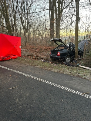 na zdjęciu auto które uderzyło w drzewo i parawan