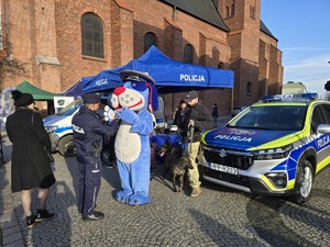 na zdjęciu sznupek policjant i radiowóz w tle