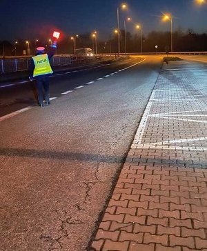 na zdjęciu policjant ruchu drogowego zatrzymuje do kontroli pojazd ciężarowy