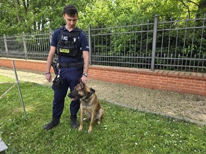 na zdjeciu policjant z psem policyjnym
