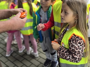 na zdjęciu dziewczynka dostaje odblask