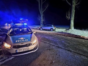 na zdjęciu radiowóz i auto które uderzyło w drzewo