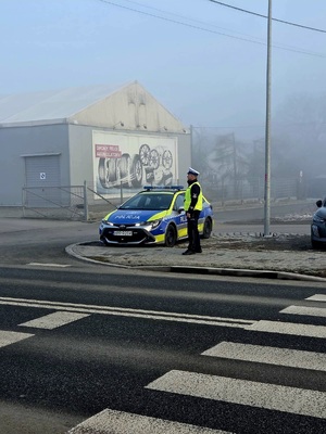 na zdjęciu policjant ruchu drogowego przy przejściu