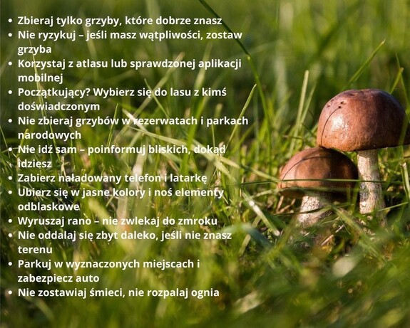 na zdjęciu profilaktyka i grzyby