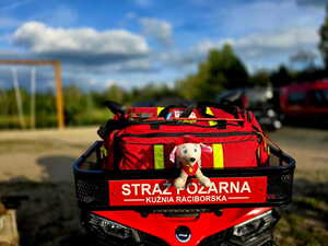na zdjęciu quad strażacki
