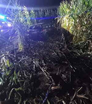 na zdjęciu auto w polu kukurydzy